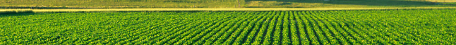Industrial Supplies & Machinery